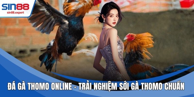 Đá Gà Thomo Online