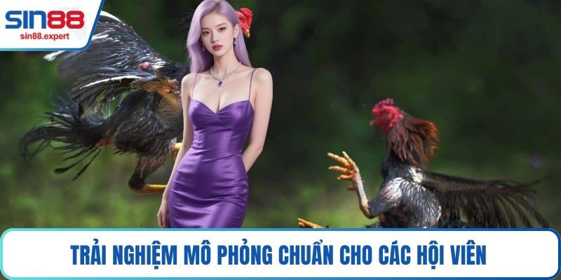 Trải nghiệm mô phỏng chuẩn cho các hội viên 